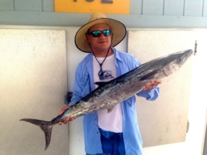 Scouting Kingfish - tampa bay fishing charters - 2