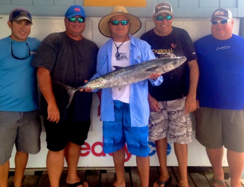 Scouting Kingfish in October