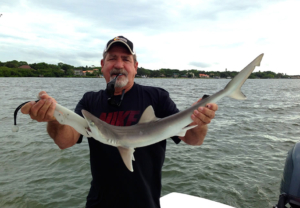 mangrove  fishing charters tampa bay florida - spanish sardine2