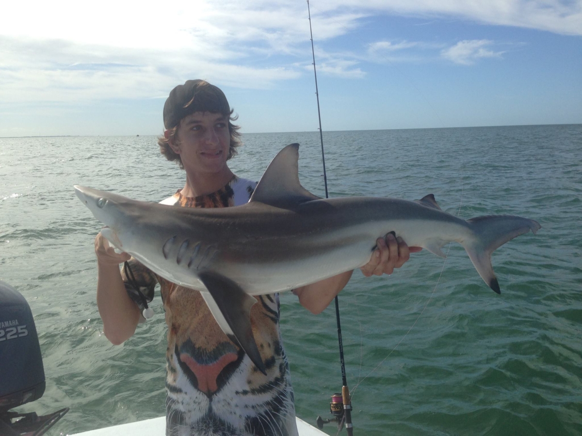 Big fish johns pass # 1 fishing charter - #1 Tampa Bay Fishing Charter