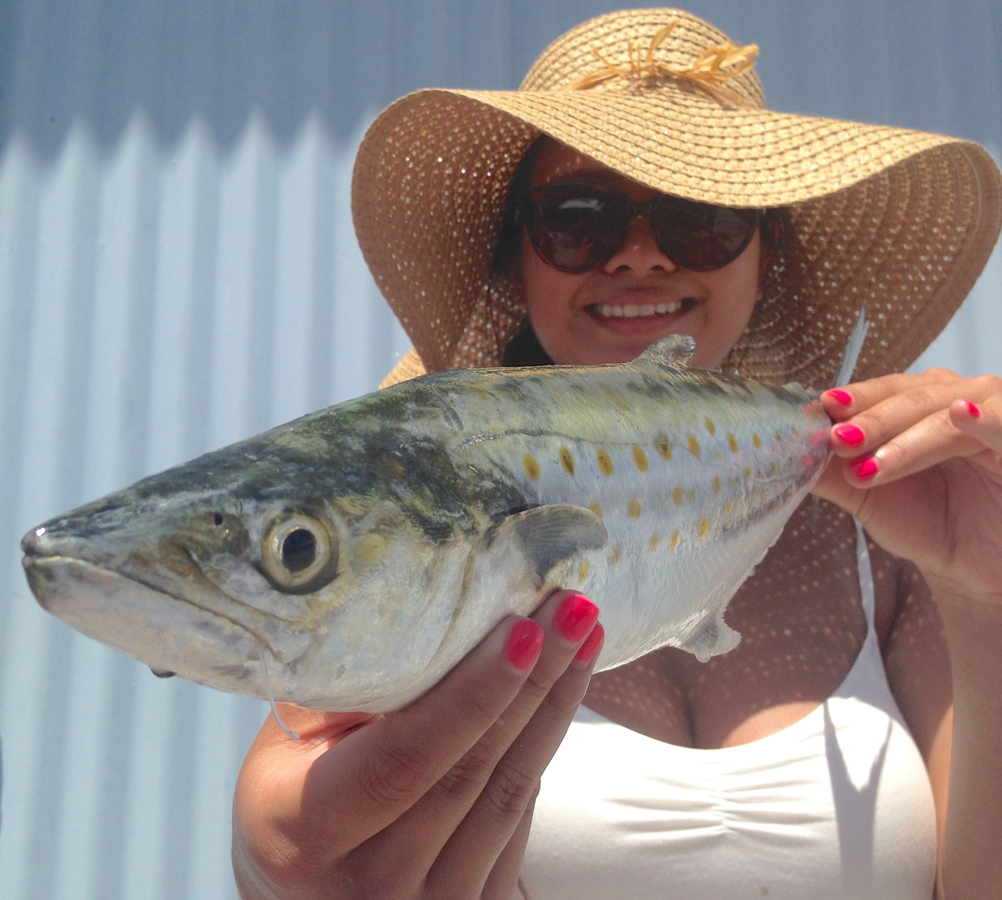 John's pass fishing st pete beach fishing charter - #1 Tampa Bay