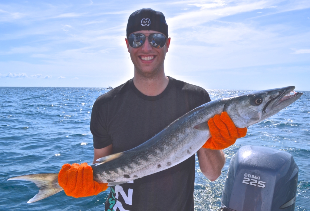 big fish Tampa bay best st - #1 Tampa Bay Fishing Charter - Spanish Sardine
