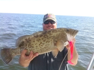 Grouper Fishing Charters Tampa Bay