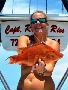 Hogfish fishing charters tampa bay