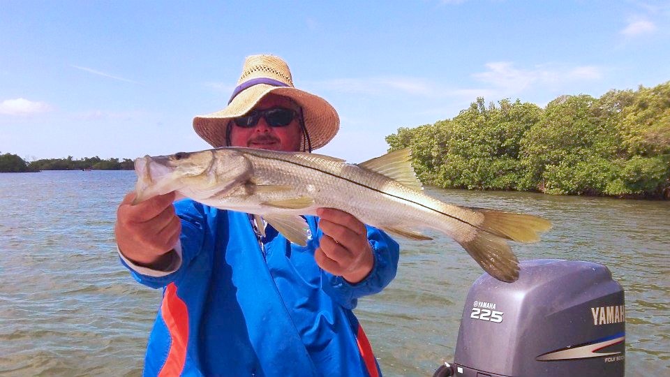 Tampa bay snook fishing