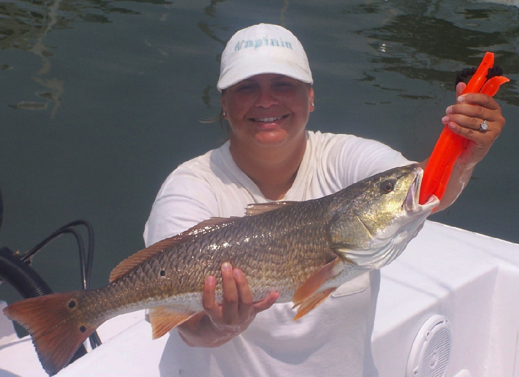 Tampa fishing best of the bay redfish charter