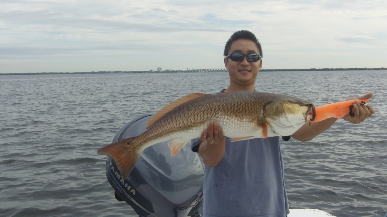 best redfish Tampa bay flats fishing guide biggest redfish