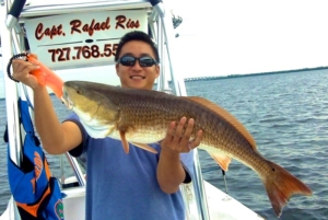 redfish-inshore-florida