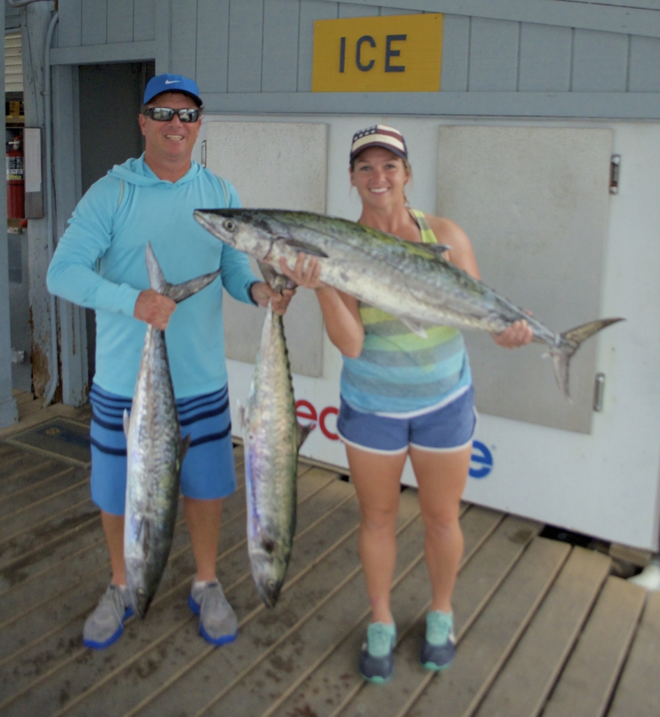 tampa bay kingfish charter fun fishing nearshore good to eat Tampa bay
