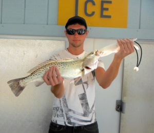 trout-inshore-charter