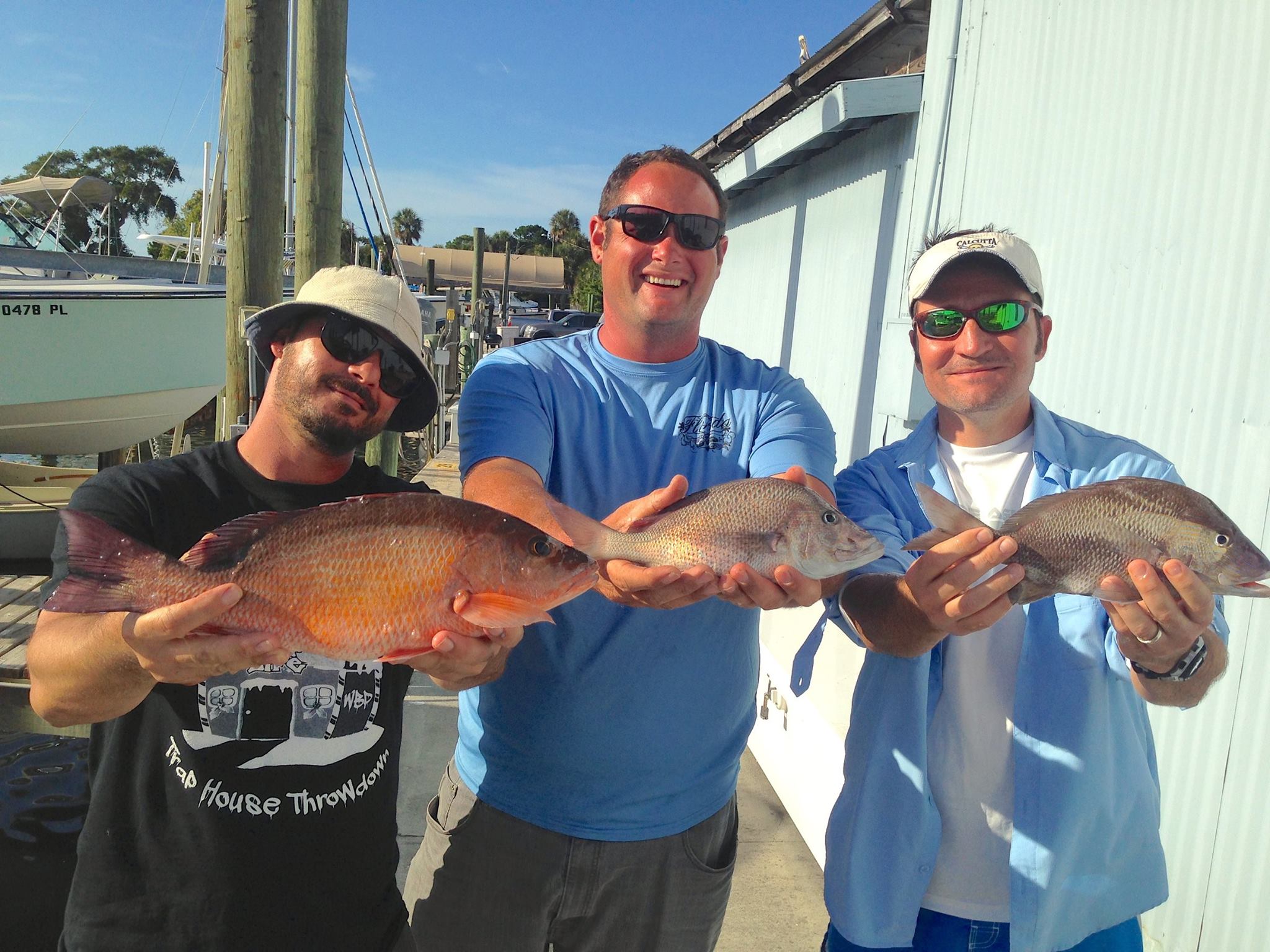 fish mangrove snapper johns pass fishing charter - #1 Tampa Bay Fishing ...