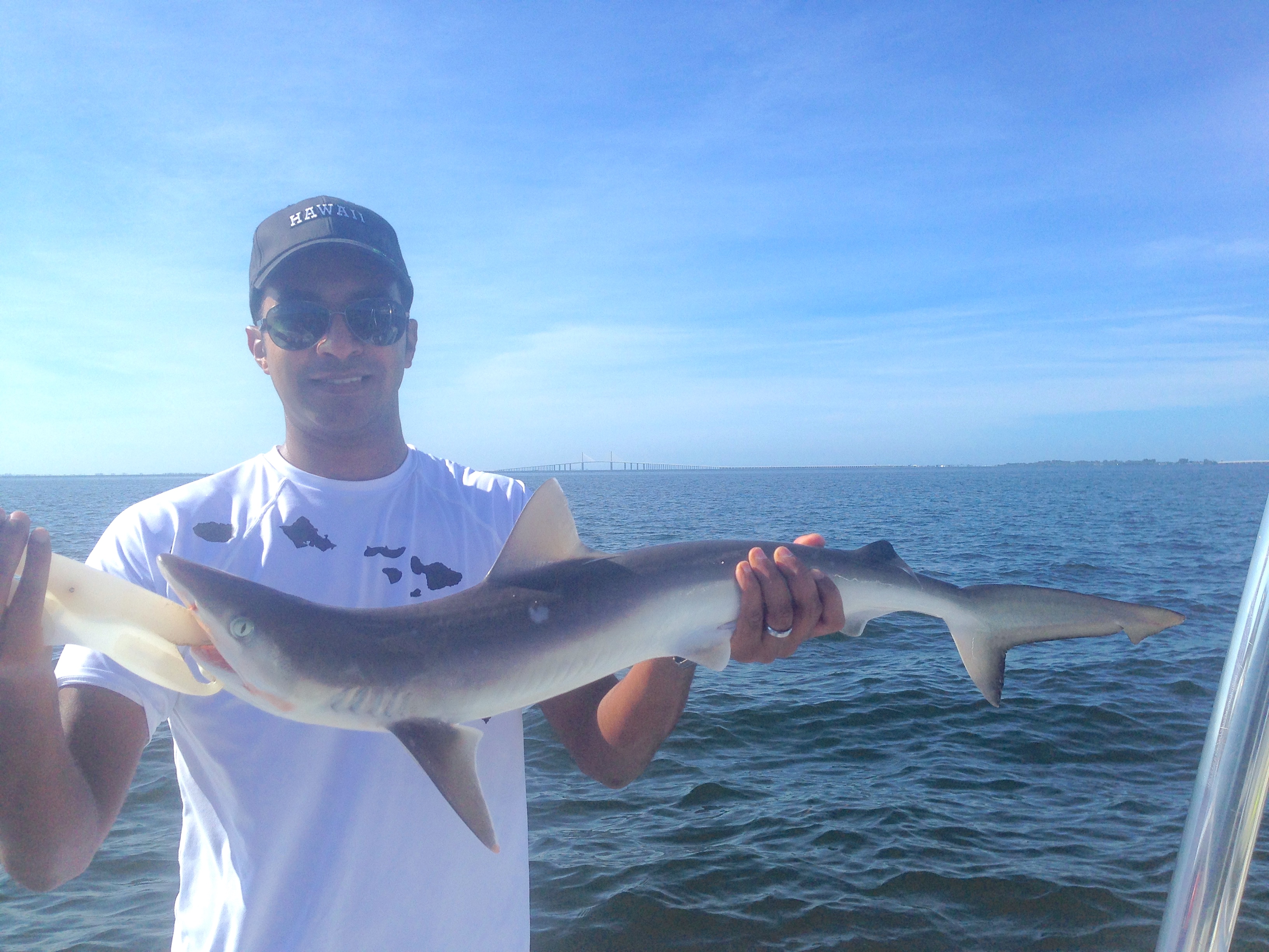 1-tampa-bay-shark-fishing-charter