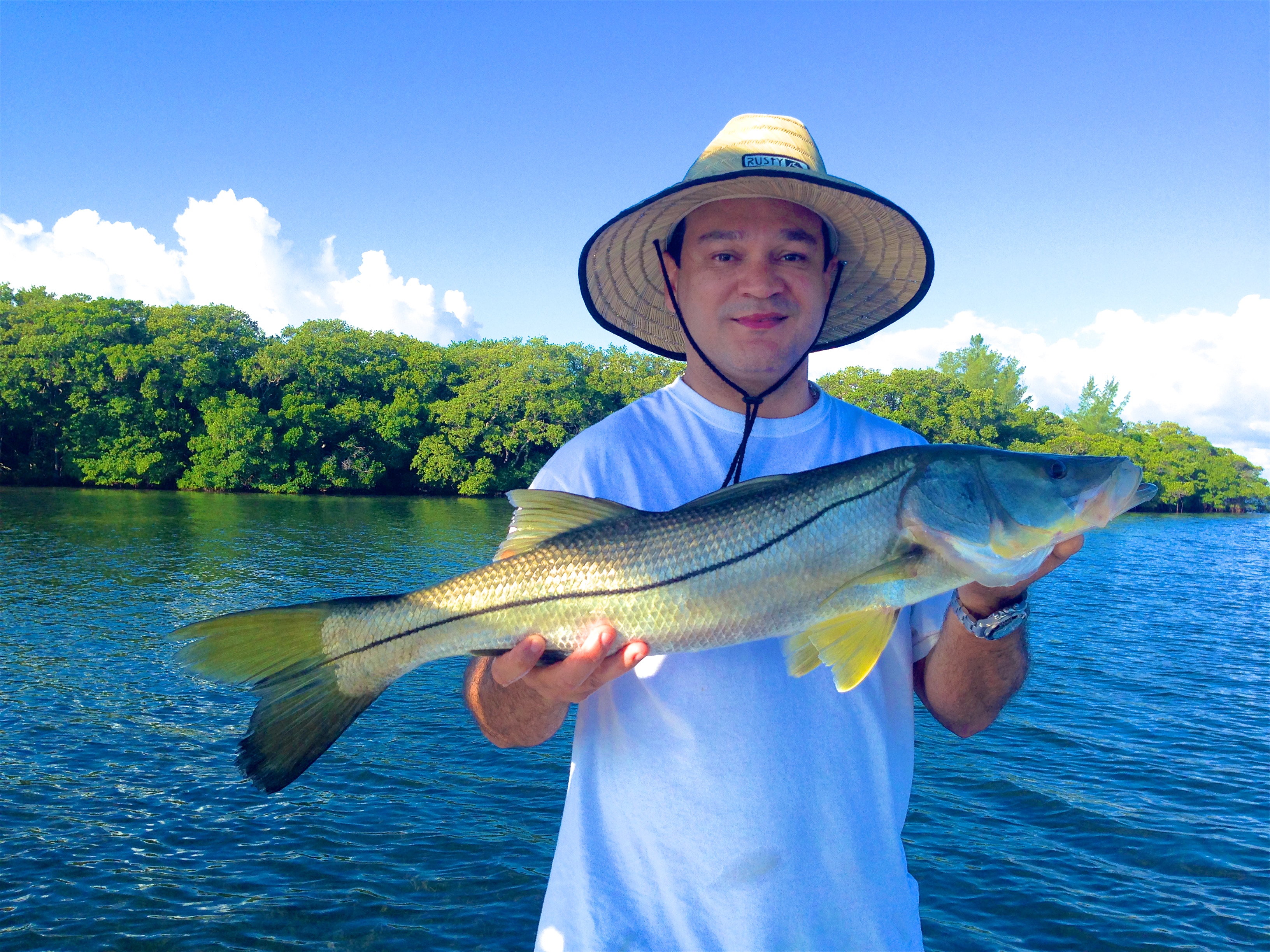 Tampa bay big snook