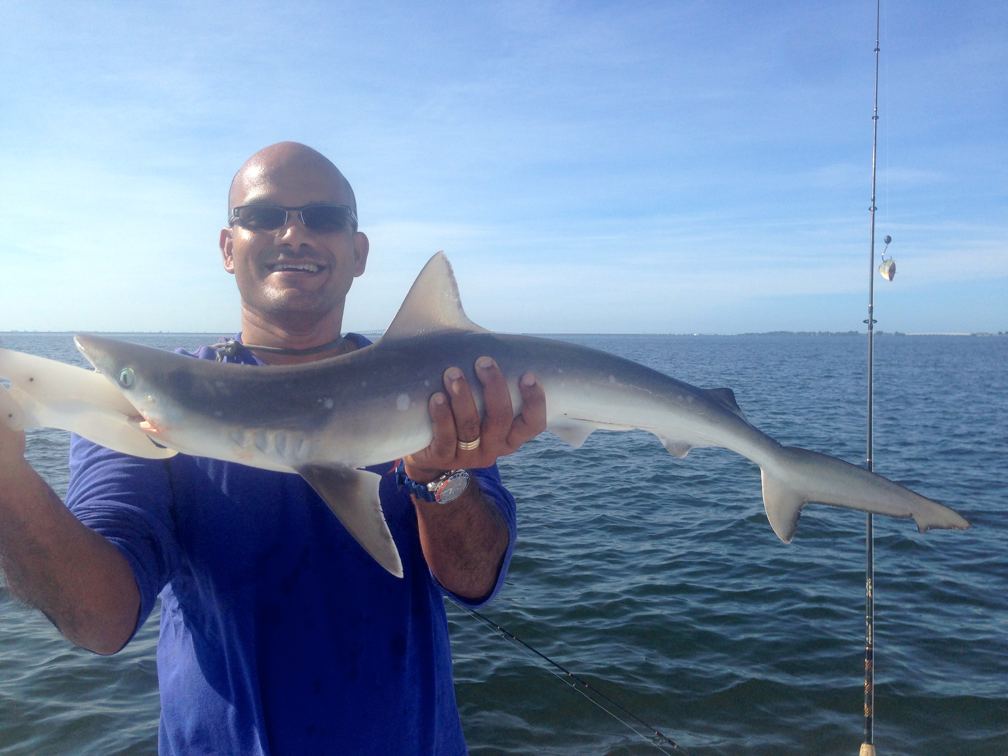 shark-fishing-charter