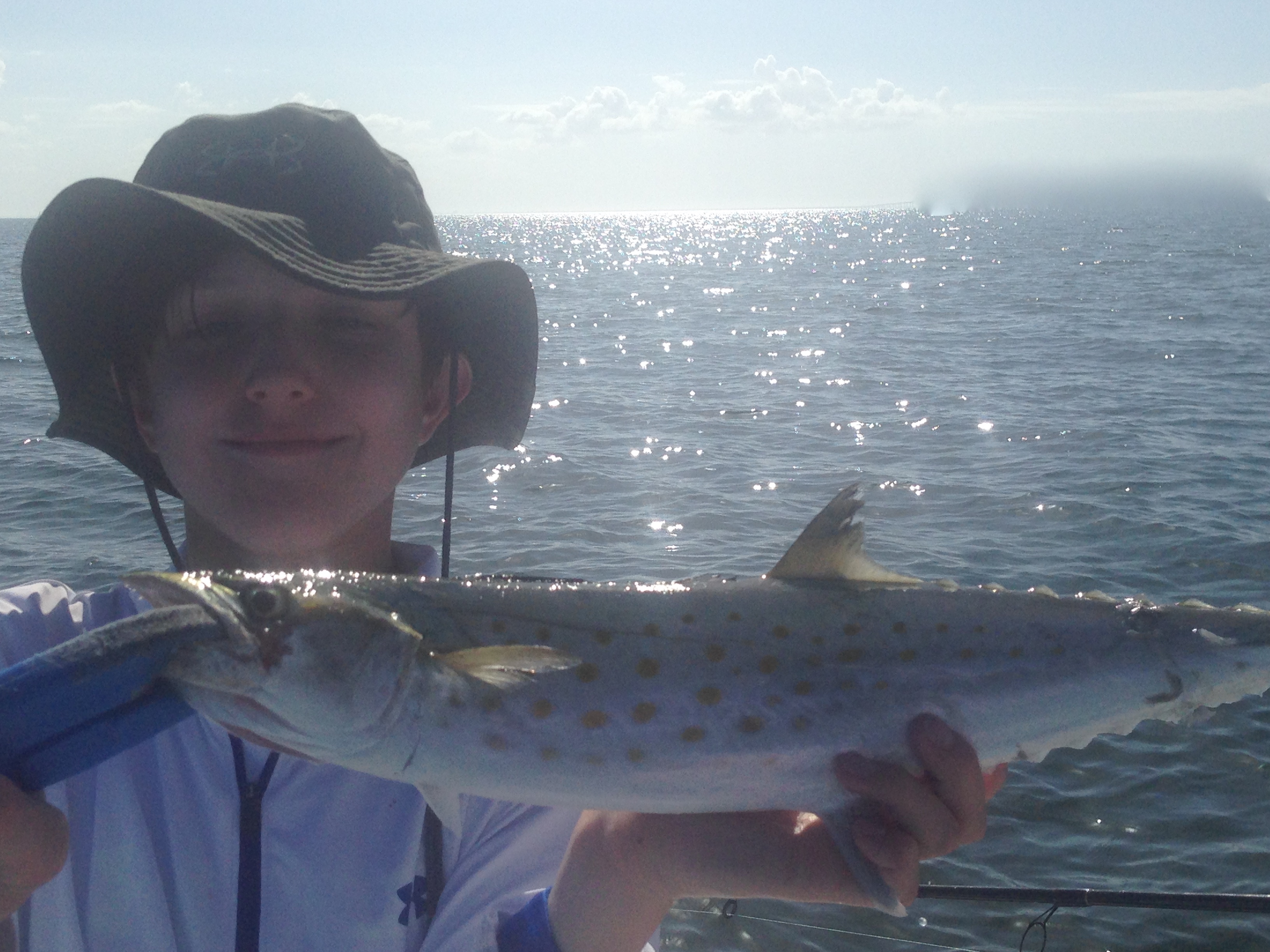 great day in tampa bay mackerel fishing