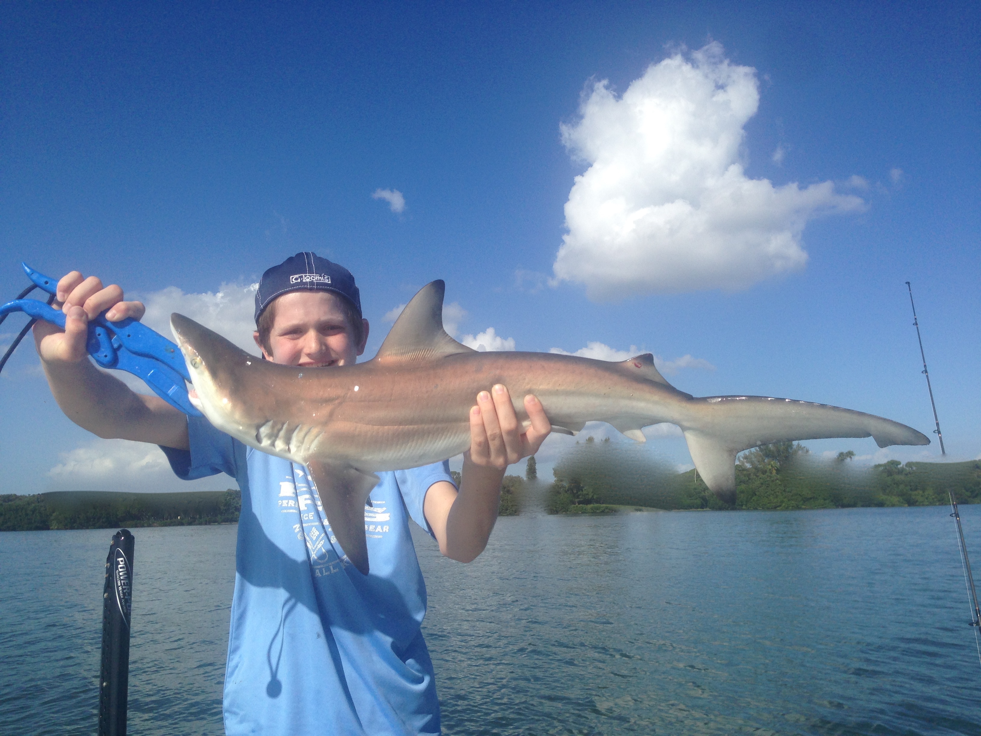 great day on the water big sharks cool water